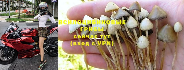 прущий лед Армянск