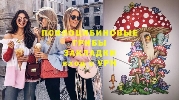 PSILOCYBIN Алексеевка
