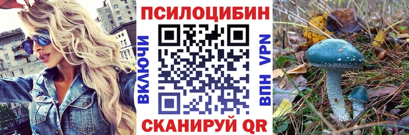 Галлюциногенные грибы MAGIC MUSHROOMS  Тулун 