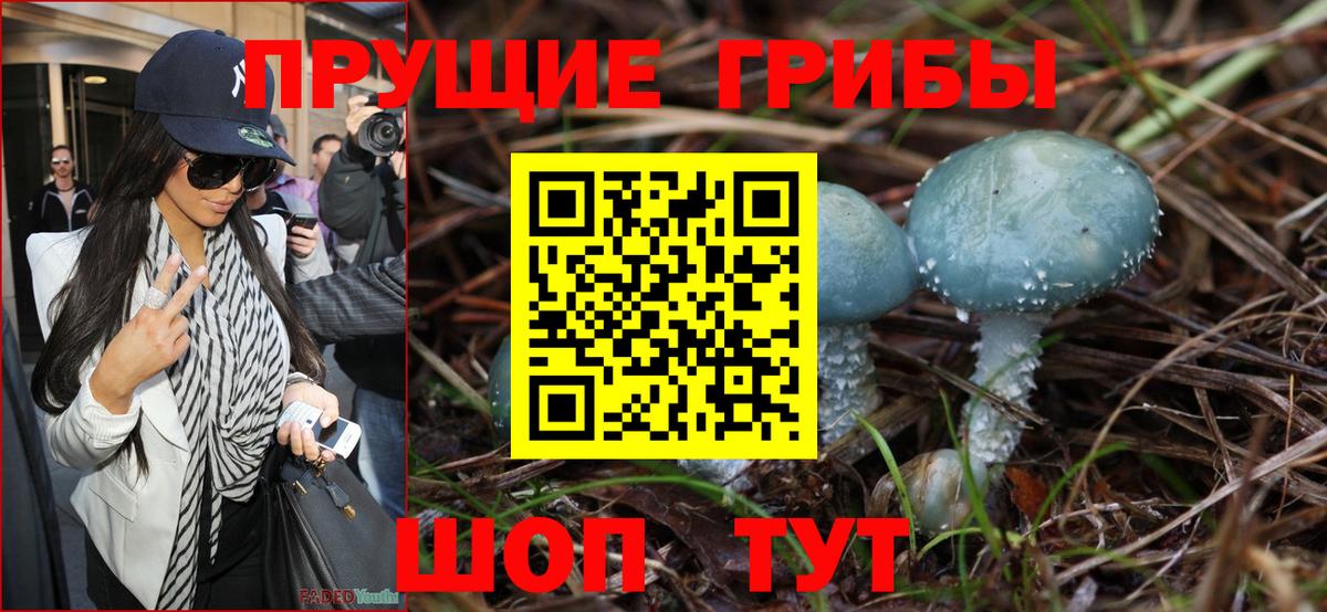 Галлюциногенные грибы мицелий Тулун